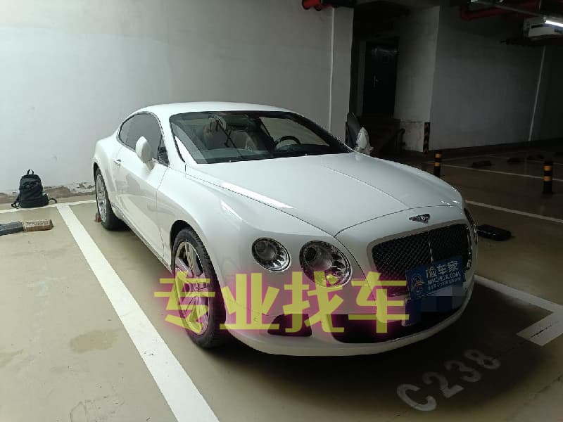 专业帮人找车